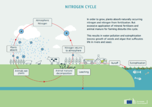 Nitrates Derogation - cycle