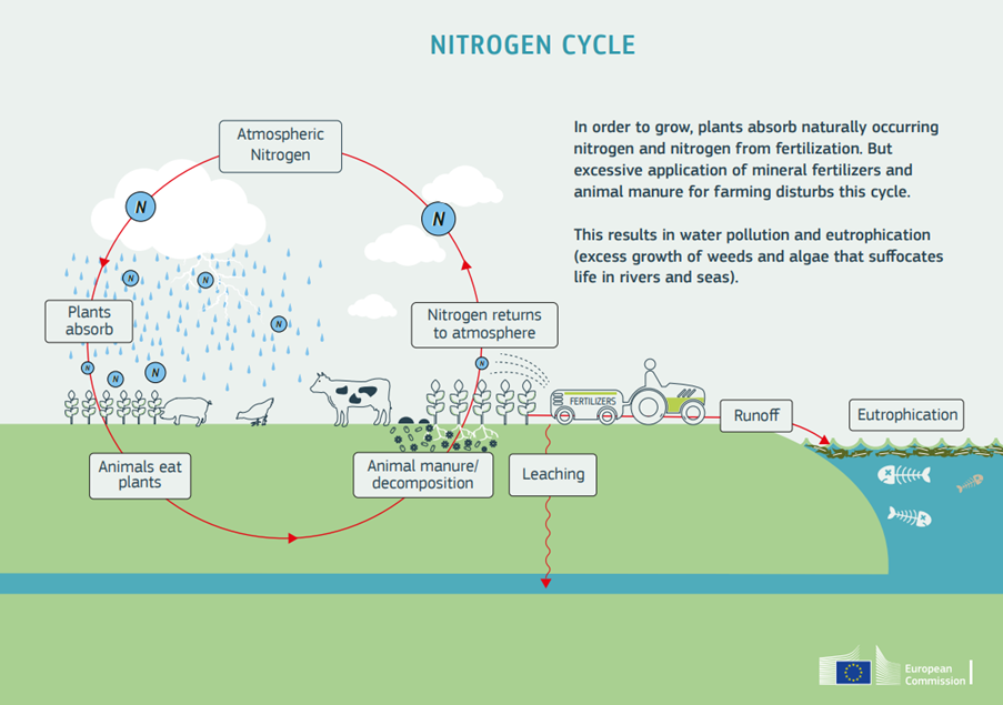 Nitrates Derogation - cycle